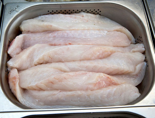 Monkfish